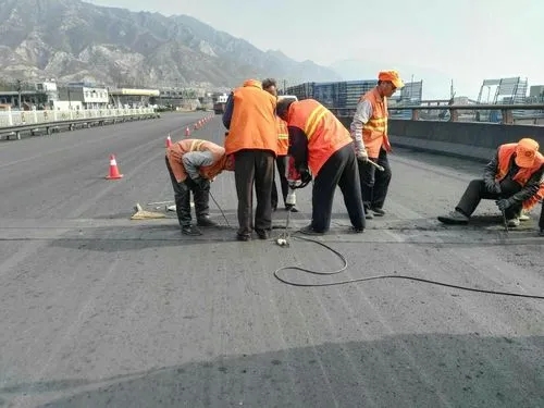 山阳道路桥梁病害治理